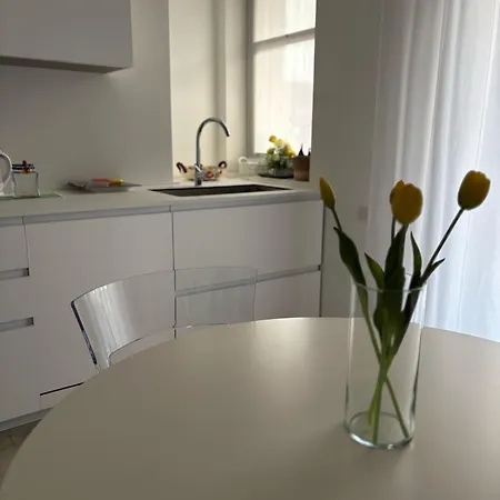 Tulip Centro Apartamento Saronno